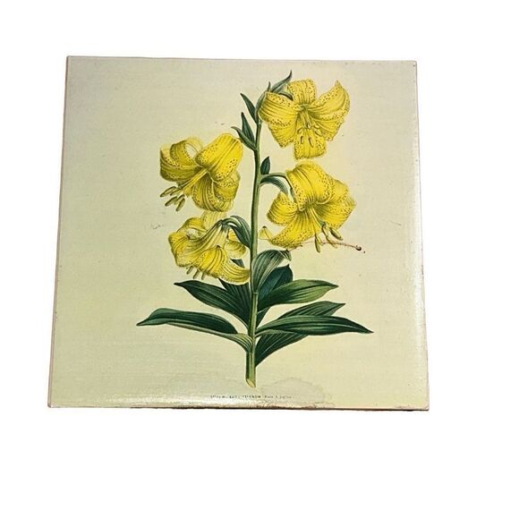 Vintage Botanical Print Wild Yellow Lilies wall hanging ceramic porcelain lily - Picture 1 of 7
